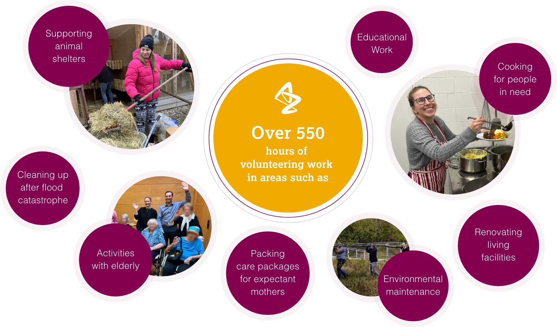 Overview of voluntary work