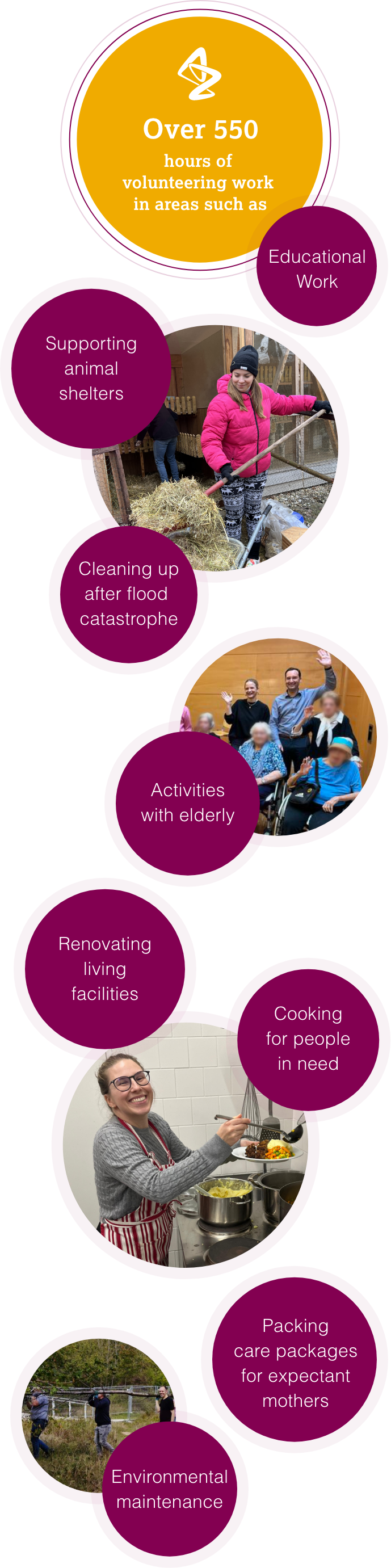 Overview of voluntary work