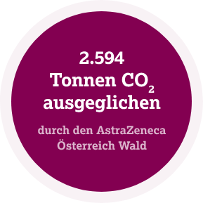 CO2 Info Grafik mit Pfeil