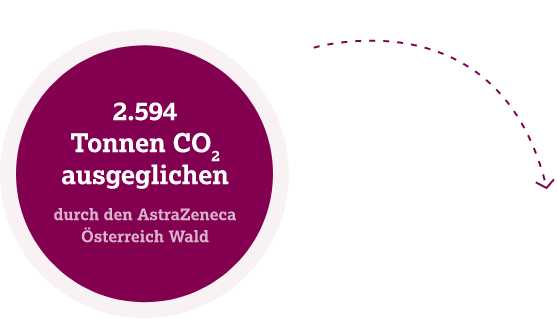 CO2 Info Grafik mit Pfeil