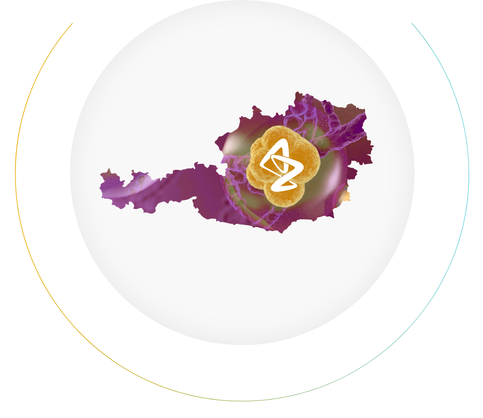 Österreich Karte mit Icons