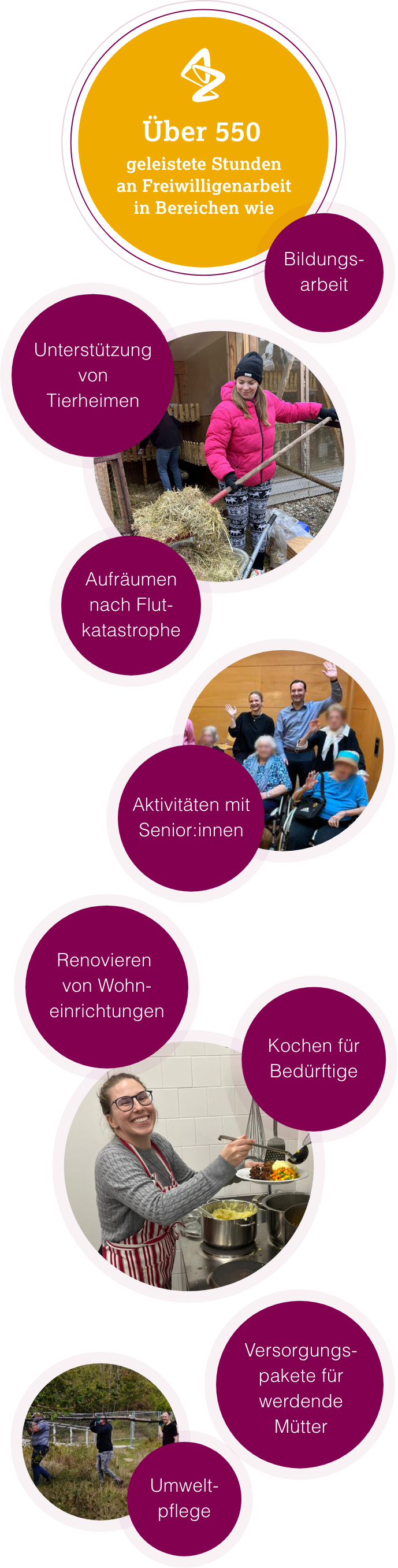 Übersicht Freiwillingenarbeit